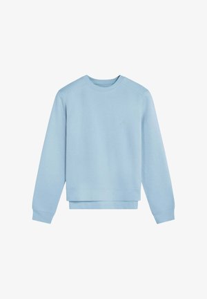 Felpa azzurra chiara realizzata in tessuto morbido, con scollatura rotonda, polsini a coste e orlo dritto; design minimalista senza motivi.