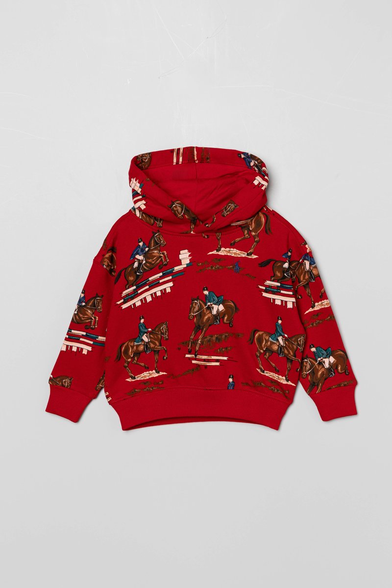 Polo Ralph Lauren Hoodie rood