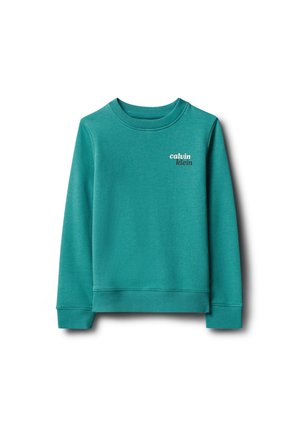 Calvin Klein Jeans, SEASONAL LOGO FRONT BACK - Φούτερ - north sea