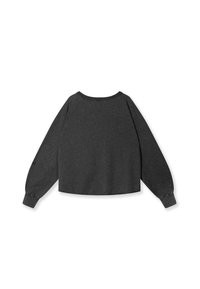 Felpa grigia corta realizzata in un tessuto morbido. Caratterizzata da cuciture delle spalle scese, maniche lunghe e polsini a costine. Design semplice senza fantasie.