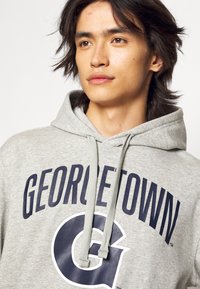 Champion Rochester HOODED - Felpa - mottled grey