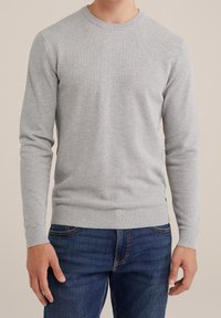 Light gray knitted sweater with a round neckline, long sleeves, and ribbed cuffs and hem. Worn over blue jeans.