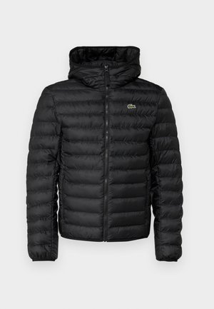 Schwarze Pufferjacke mit Reißverschluss vorne, Kapuze, gestepptem Muster und elastischen Bündchen. Verfügt über ein kleines grünes Lacoste-Logo auf der Brust.