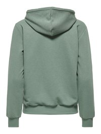Sweat à capuche vert uni à manches longues avec poignets et taille côtelés, vu de dos.