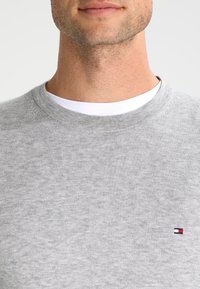 Felpa grigia in cotone, con collo a giro e un piccolo logo in rosso, bianco e blu sul lato sinistro del petto.