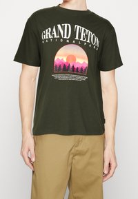 Camiseta de algodón verde oscuro con un diseño gráfico que presenta un sol, montañas rosas y árboles. El texto "Parque Nacional Grand Teton" se muestra de manera prominente.