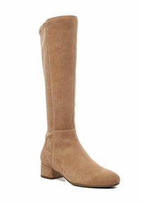 Kniehoge tan kleurige suède laarzen met een gladde textuur, ronde neus en een gematigde blokhak. Eenvoudig ontwerp, geen zichtbare versieringen.