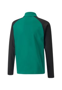 Langärmliges Polohemd in Teal mit schwarzen Raglanärmeln. Verfügt über einen klassischen Kragen und ein glattes, leichtes Gewebe mit einer weichen Textur.