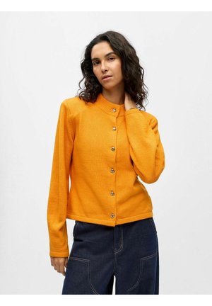 Gilet - desert sun