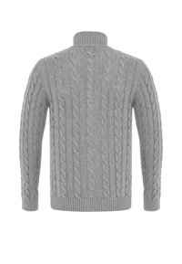 Pull gris clair en tricot avec motifs torsadés, manches longues, poignets et ourlet côtelés, et un col montant haut, montré de dos.