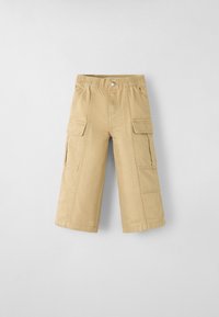 Não selecionado, safari