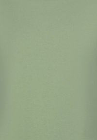 Lichtgroene stof met een gladde textuur, met een uniforme kleur en geen zichtbare patronen of versieringen.