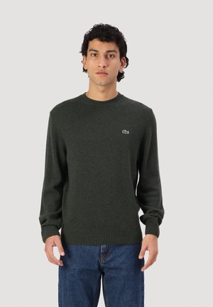 Maglione lavorato a maglia verde scuro con scollo rotondo, polsini a coste e orlo inferiore. Presenta un piccolo logo di coccodrillo verde sul petto.