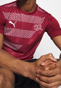 Pun Puna kumiru red na kumolt precetst ka cwenoni traviracot di la staras bi aratnianas. Kwoktani PUMA akogmalagejam na cwen di la Swiss Football Association akogmala wislahqu.