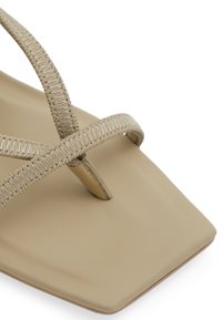 ALDO STRAPPY SANNE - Infradito - khaki