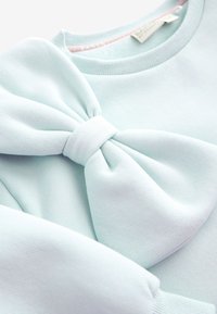 Lichtblauwe sweatshirt met een grote, geknoopte strikdetail aan de voorkant. Gladde stof met ribbelboord aan de hals en mouwen.