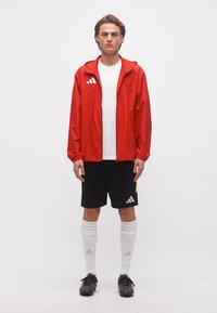 Νεαρός άνδρας που στέκεται, φοράει κόκκινο μπουφάν με κουκούλα, λευκό πουκάμισο, μαύρο σορτς, λευκές καλτσές μέχρι το γόνατο και μαύρα παπούτσια ποδοσφαίρου σε λευκό φόντο.