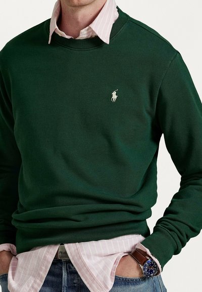 Felpa verde scuro con collo tondo e polsini a coste, con un piccolo logo bianco. Abbinata a una camicia a righe rosa chiaro con colletto sotto.