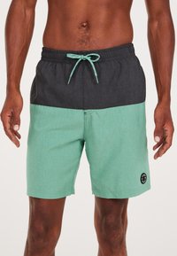 Protest PRTHELI - Shorts da mare - frosty green