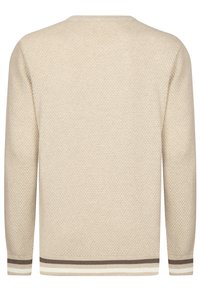 Maglione a maglia beige con un motivo testurizzato, maniche lunghe e collo rotondo. Presenta orli a costine striati in marrone scuro e crema.