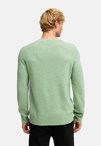 Ljusgrön, strukturerad stickad tröja med långa ärmar och ribbat nederkant. Har en klassisk rund halsringning och raglanärmar.