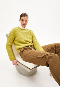 Ljusgrön, texturerad stickad tröja med ett geometriskt mönster, bärs över en vit skjorta med krage, tillsammans med bruna, löst sittande byxor.