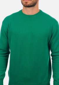 Mahogany NESTOR 4F - Pullover - evergreen