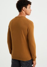 WE Fashion THE EVERYDAY - Džemperis - brown