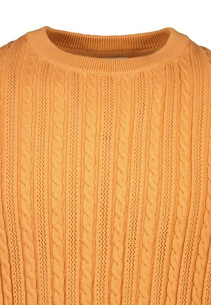 Suéter de punto en color naranja con textura acanalada y patrones de trenzado. Presenta un cuello redondo y una tela suave y elástica para mayor comodidad.