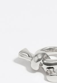 Llave de plata pulida en forma de ave. Textura suave con bordes redondeados y un anillo circular de sujeción.