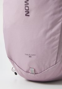 Sac à dos de randonnée rose clair avec une surface texturée. Présente le logo "Salomon", le modèle "Trailblazer 20", et un onglet d'accent gris à la base.
