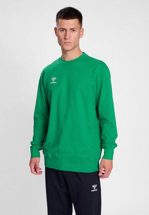 Grøn bomulds sweatshirt med lange ærmer, rund hals og ribbede manchetter. Har et lille logo på brystet og en afslappet pasform.