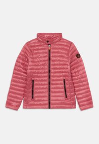Unselected, bloom pink