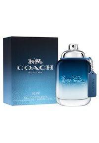 Immagine in miniatura 2