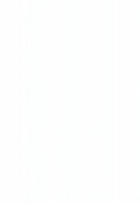 Hvit bakgrunn; ingen kjennelige trekk eller synlig innhold.