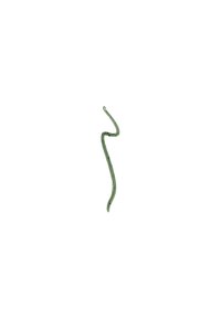 Thin, wavy green cord made of textured material, approximately 30 cm long, with a slightly curled end.