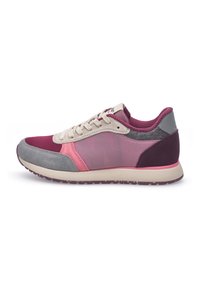 Unselected, old rose multi