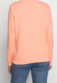 Perzikkleurige sweatshirt met een ronde hals en geribbelde boorden, met een zachte textuur en een ontspannen pasvorm, getoond vanaf de achterkant op een neutrale achtergrond.
