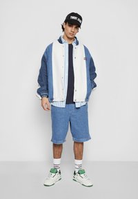 Tommy Jeans AIDEN TAPE - Denim shorts - denim light