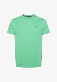 Nem kiválasztott, katydid