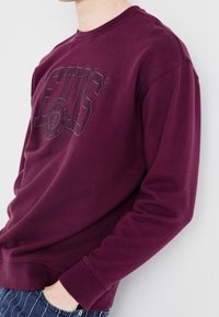 Sudadera de cuello redondo en color burdeos con un diseño de logo texturizado y puños acanalados. Fabricada en un tejido suave, presenta un corte relajado y un estilo casual.