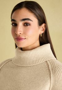 Beeži kõrge kaelusega sviiter ribatekstuuriga ja paksu kudumisega disain. Omab pehmet kangast ja lõdva stiili, õlgadel on rõhutatult õmmeldud detailid.