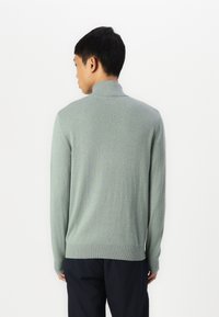 Green knit sweater with a high collar, ribbed cuffs, and hem. Smooth texture and fitted design, viewed from the back, against a white background.