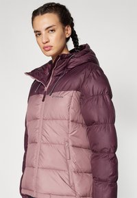 Columbia PIKE LAKE™ II INSULATED JACKET - Zimní bunda - moonvista/fig