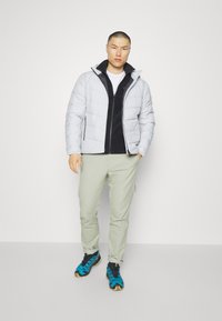 Jack Wolfskin COLONIUS - Gewatteerde jas - moonwalk