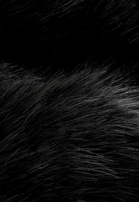 Next Huivi - black