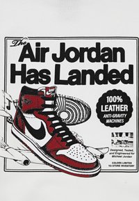 Jordan AIR HAS LANDED - Luvtröja - sail
