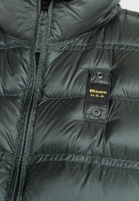 Grüne Daunenjacke mit hohem Kragen, horizontaler Steppung, Frontreißverschluss und einem Markenetikett mit gelbem Text. Silberne Hardware-Akzente.