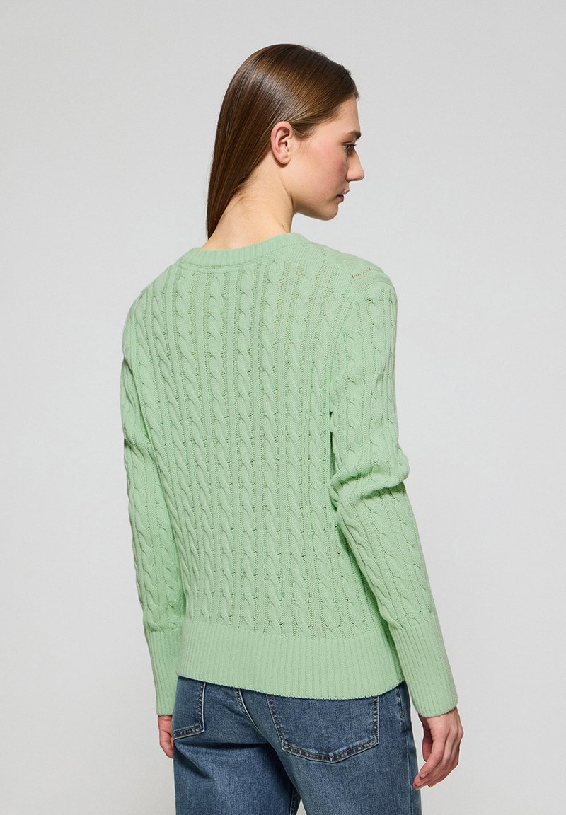 Polo Club Trui mint/groen