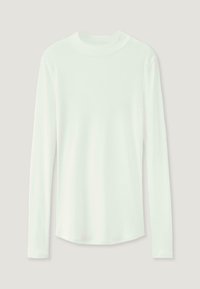 Langarmshirt mit Rundhalsausschnitt in hellem Mintgrün. Hergestellt aus weichem Stoff mit glatter Textur, mit abgerundetem Saum und eng anliegenden Ärmeln.